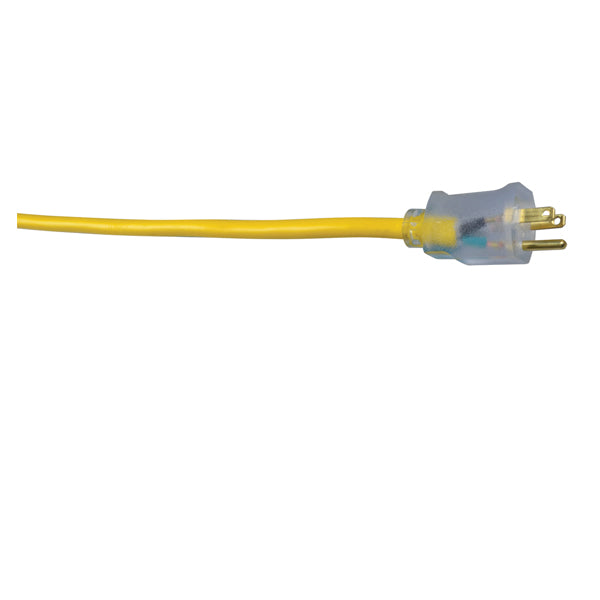 Rallonge électrique extérieure UltraFlex, 30,5m, jaune