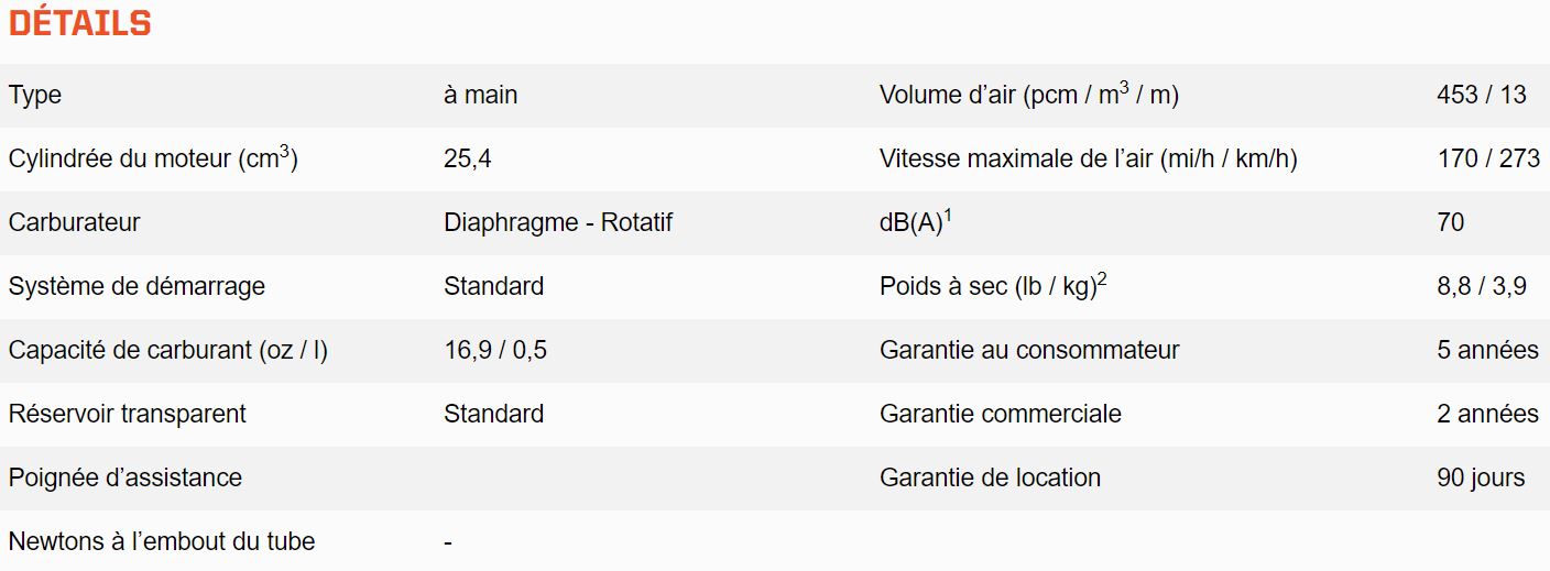 SOUFFLEUR À MAIN ECHO 25.4cc – PB2520
